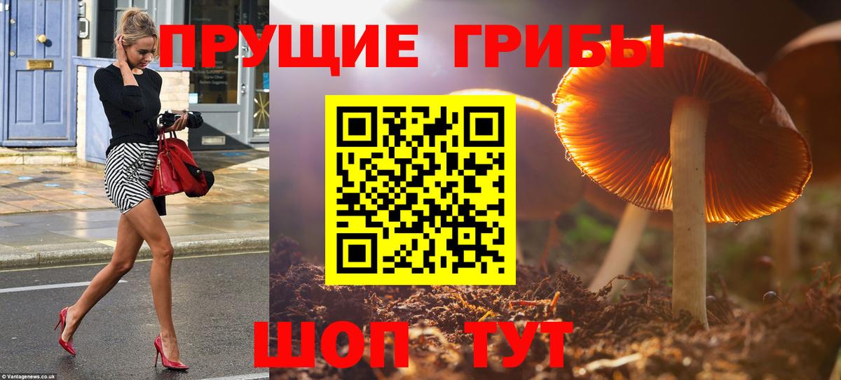 Псилоцибиновые грибы GOLDEN TEACHER  Вход с VPN  где найти   Калуга  Псилоцибиновые грибы MAGIC MUSHROOMS 