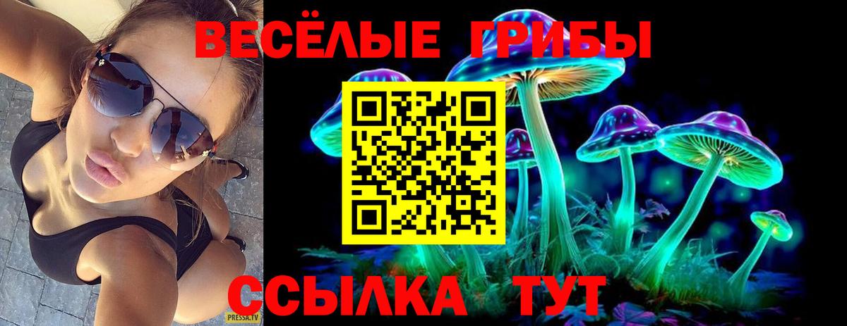 Псилоцибиновые грибы Cubensis Калуга